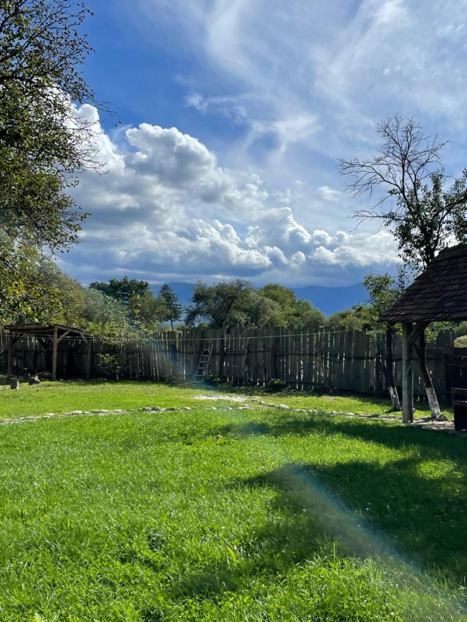 Villa OberWood Porumbacu de Sus Exterior foto