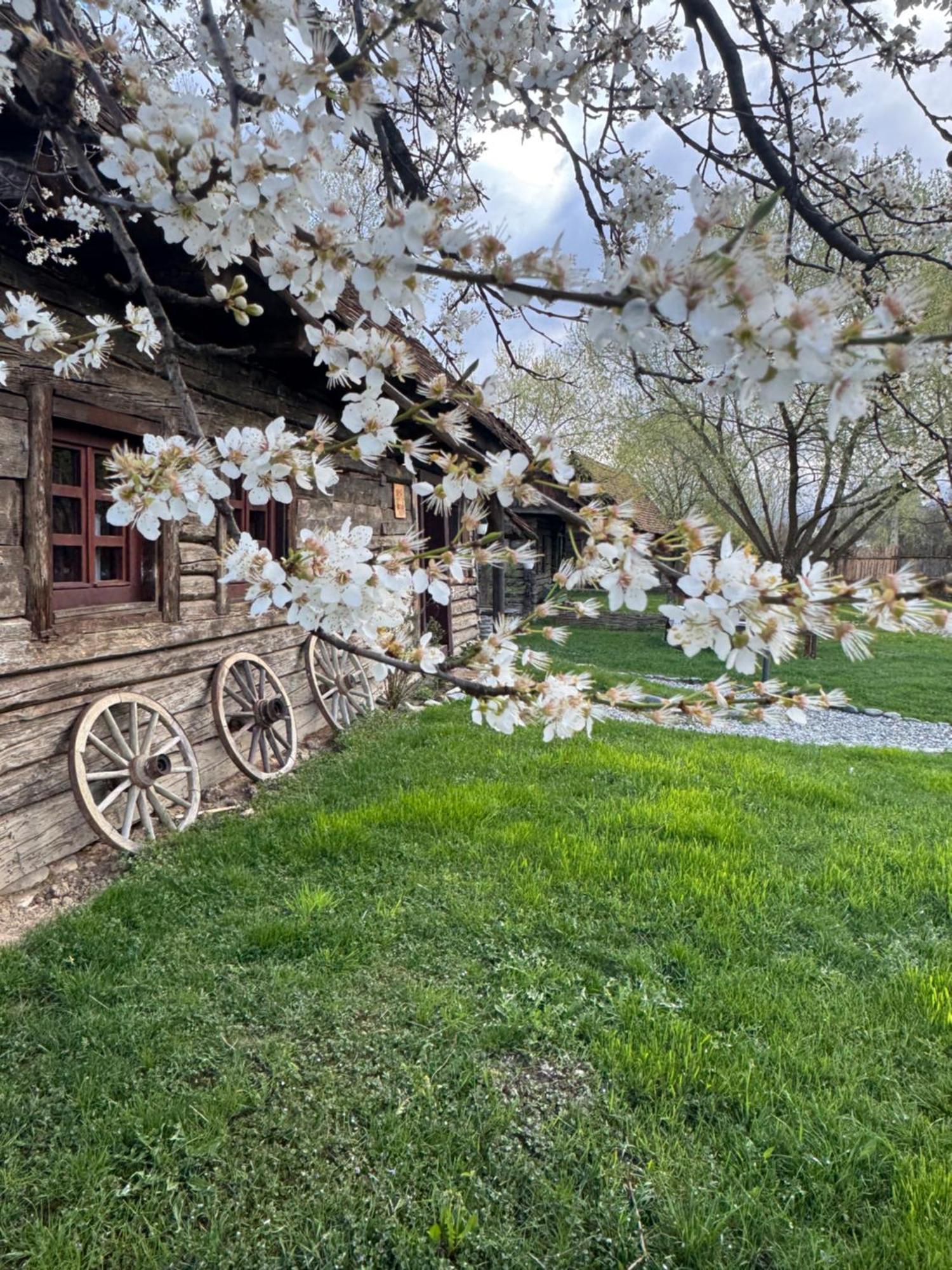 Villa OberWood Porumbacu de Sus Exterior foto