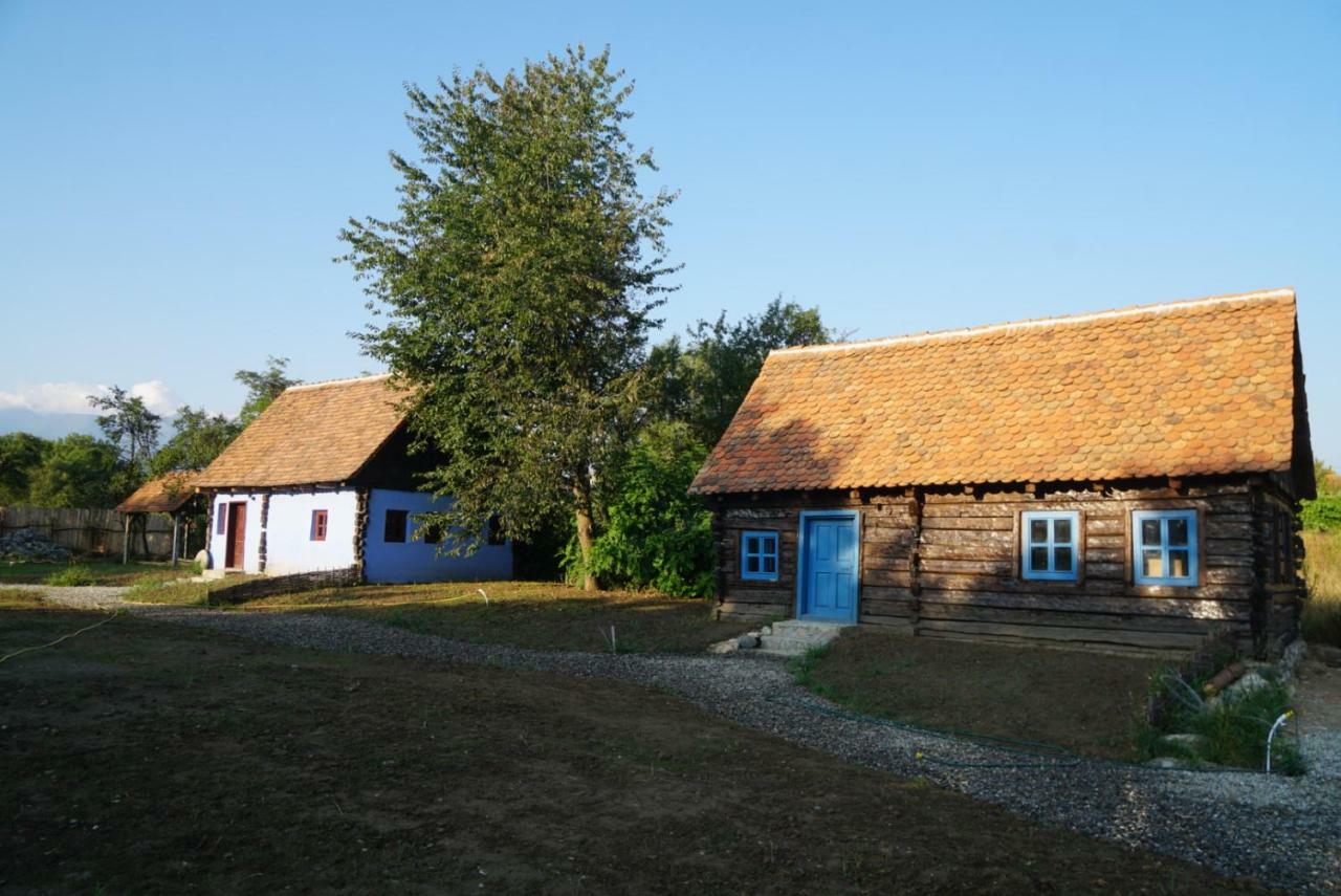 Villa OberWood Porumbacu de Sus Exterior foto